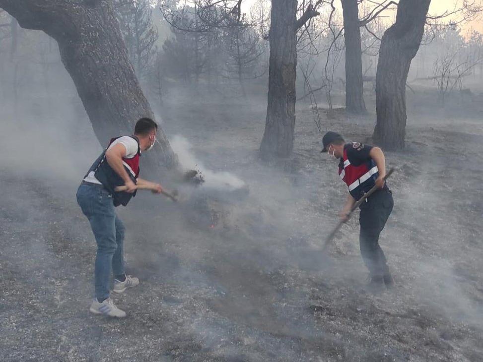 Eskişehir'de korkutan orman yangını