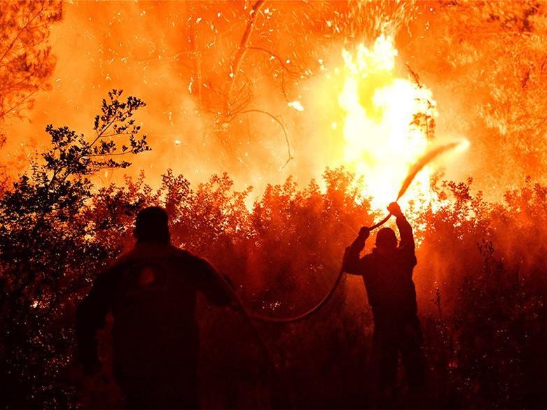 Yunanistan’daki yangında 400 hektarlık alan küle döndü
