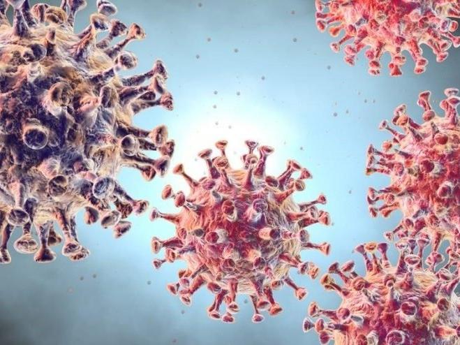 'Antikorlar mutasyon virüse karşı korumada yeterli olmayabilir'