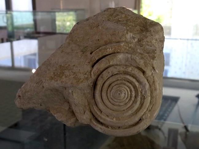 Mersin'de 60 milyon yıllık fosil bulundu