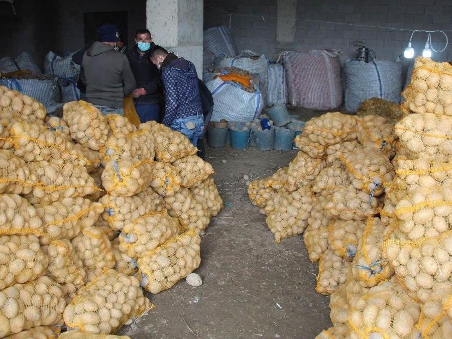 Soğan ve patates üreticisi 2021’de tamamen zarar etti