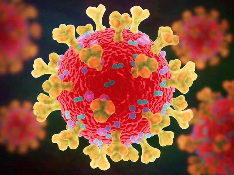 Corona virüsü aşısında büyük umut: Bilim insanları kan pıhtısı sorununu çözüyor
