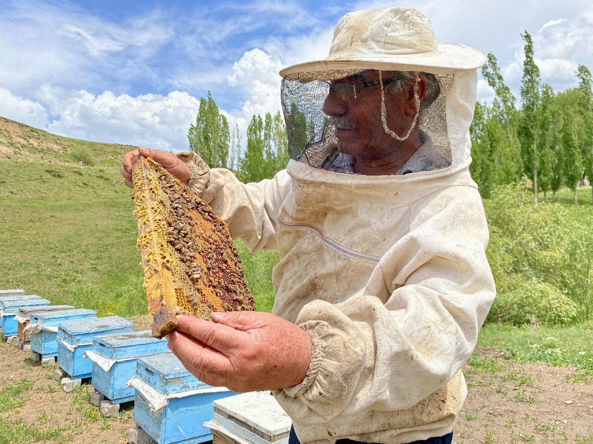 Emekli oldu, arılarla hayatı değişti