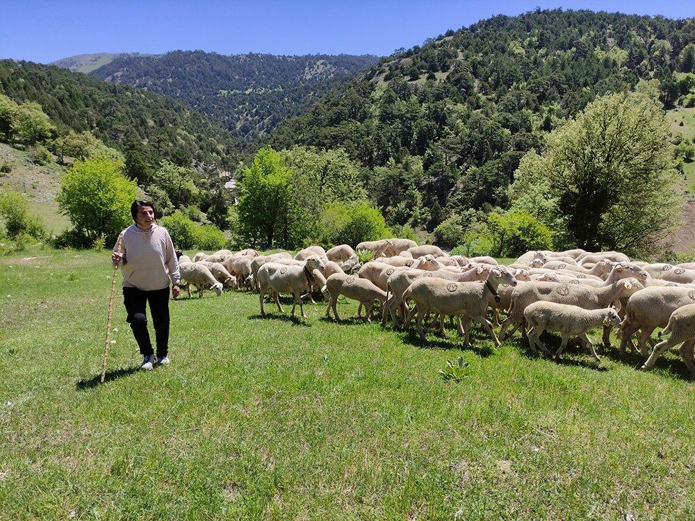 Koyunların peşinde koşarak milli takıma seçildi