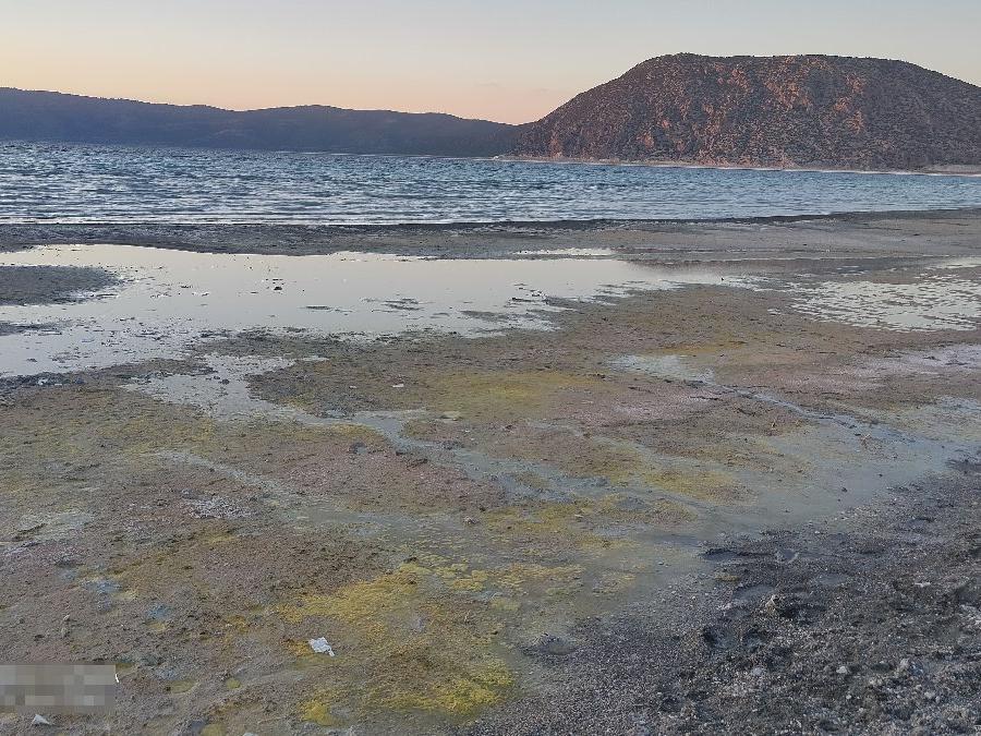 Salda Gölü Koruma Derneği'nden kirlilik tepkisi: Kanalizasyon suyu göle akıyor