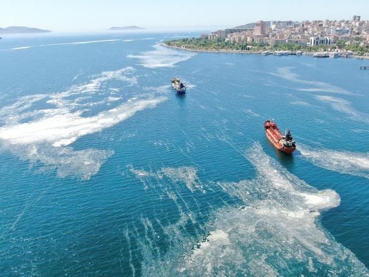 'Marmara Denizi bağırıyor: Konuşmayı bırakın eyleme geçin'