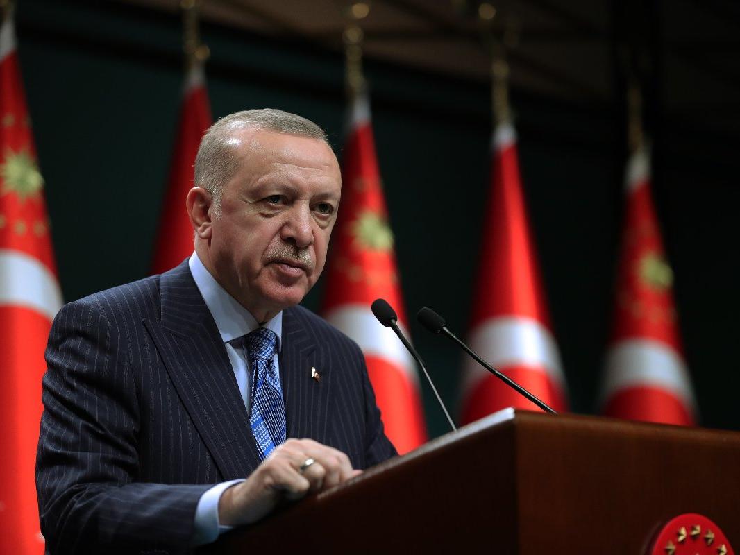 Erdoğan: Orman alanını artıran nadir ülkelerdeniz
