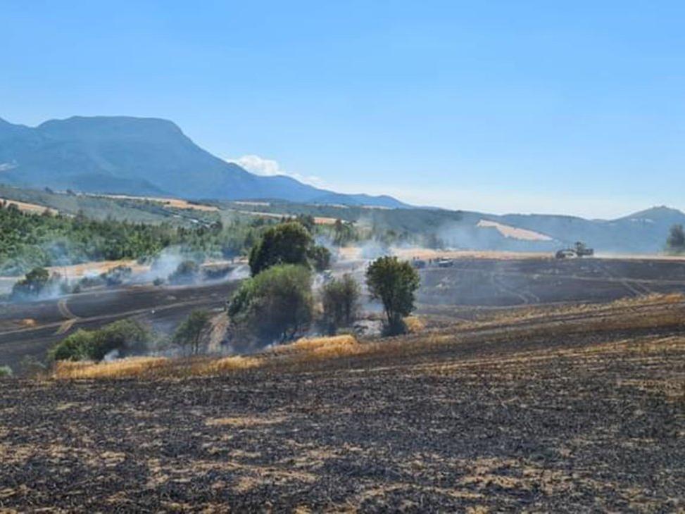 400 dönüm ekili alan yandı