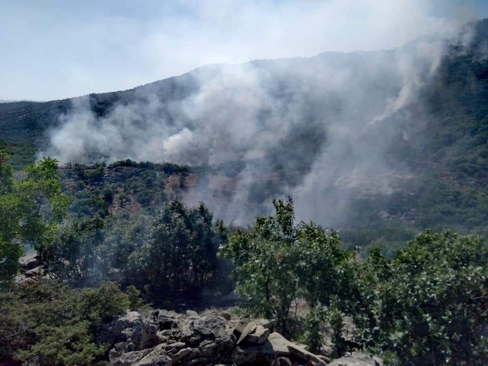 Elazığ-Diyarbakır arasında orman yangını 3 gündür kontrol altına alınamadı