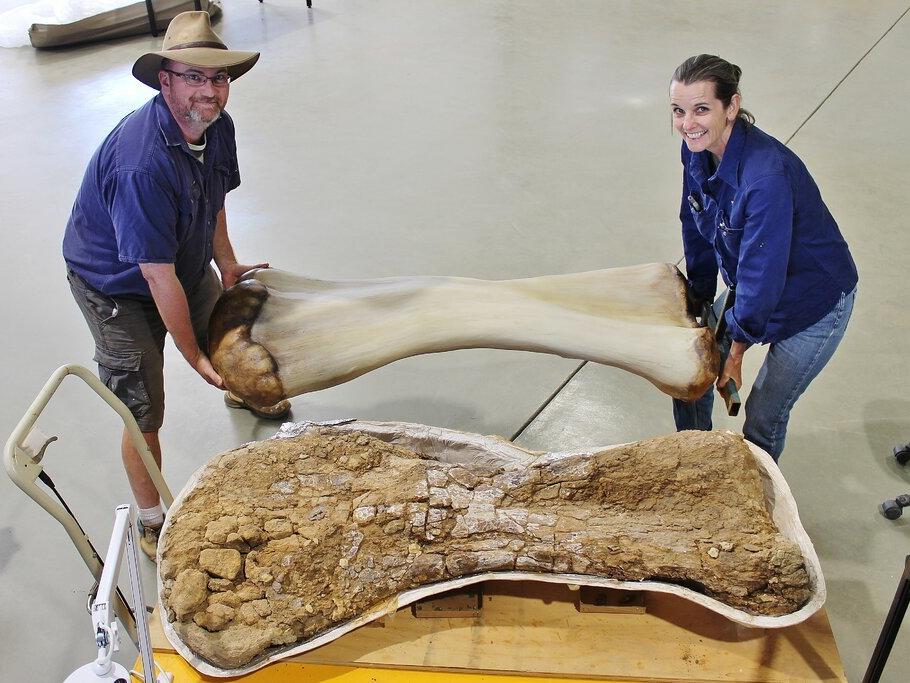 Avustralya’da kıtanın en büyük dinozoru keşfedildi