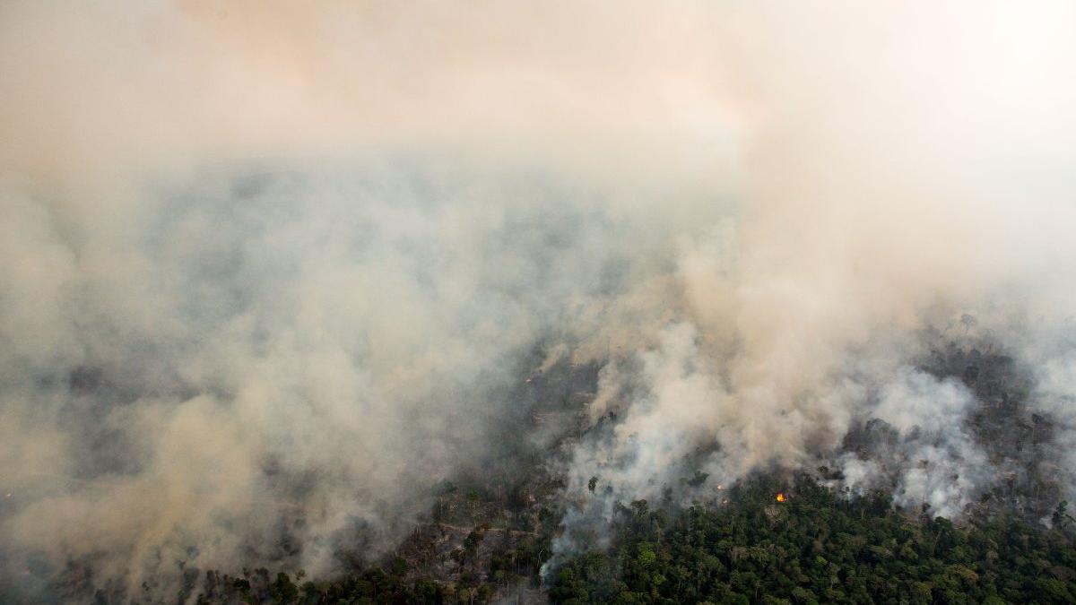 Günlük 1.3 milyona kiralanan uçaklar gelmedi, ormanlarımız alev alev yanıyor