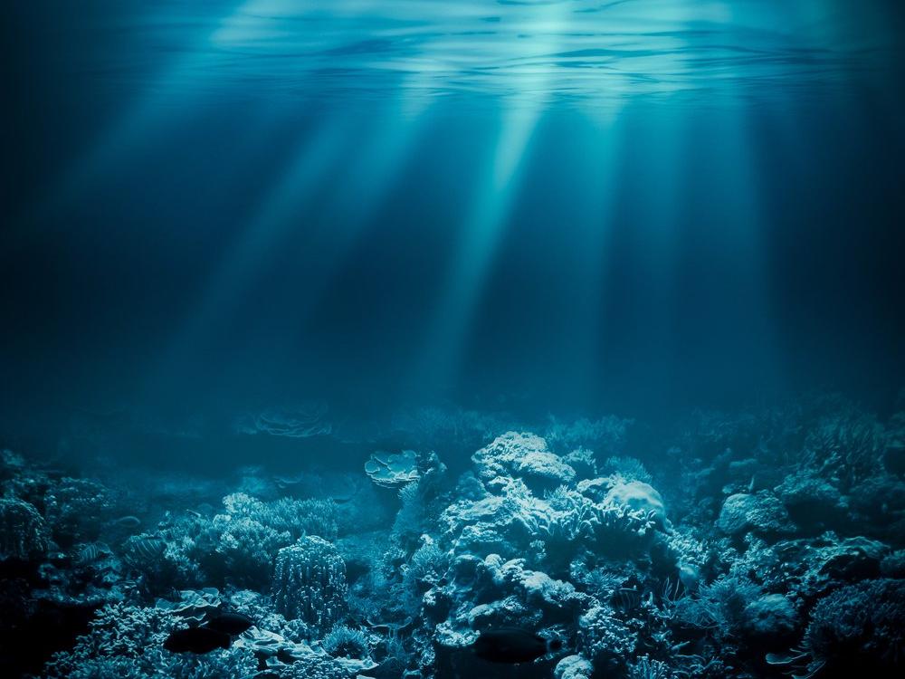 National Geographic yeni okyanusu resmen tanıdı: Güney Okyanusu