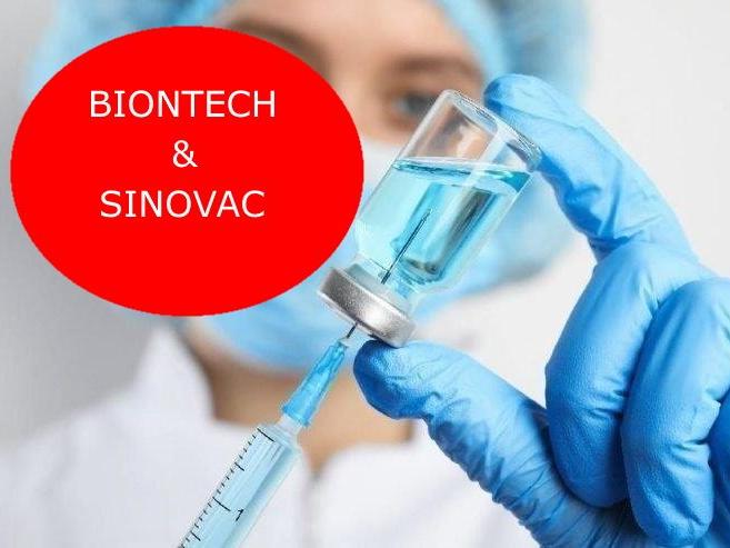 Biontech mi Sinovac mı? Koronavirüs aşısı yan etkileri üzerine uzmanlardan açıklamalar