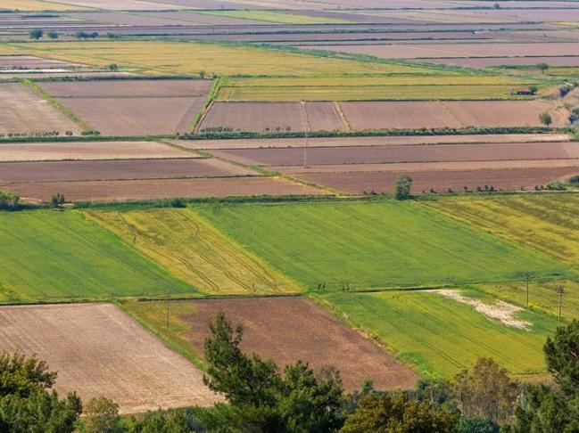 TZOB: Tarım arazilerimiz 4.7 milyon hektar azaldı