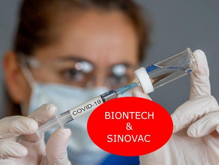 Hangi aşı etkili? Biontech mi, Sinovac mı?