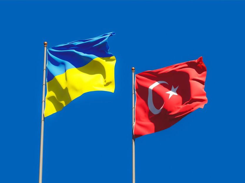 Ukraynalı bakandan Türkiye'ye çağrı