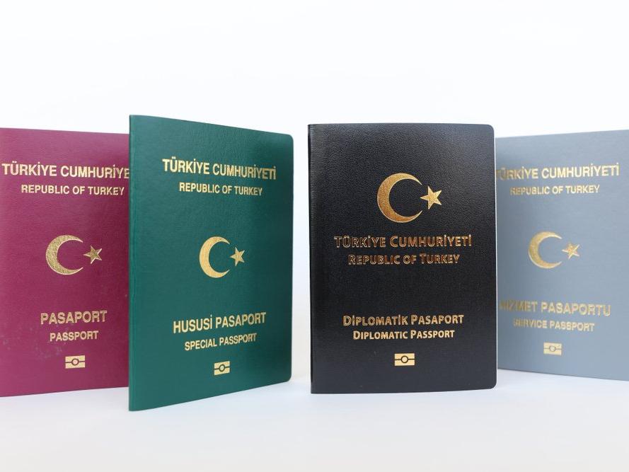 Almanya'dan yeşil, gri, siyah pasaport kararı: Artık gidiş nedenlerini ispatlamak zorundalar