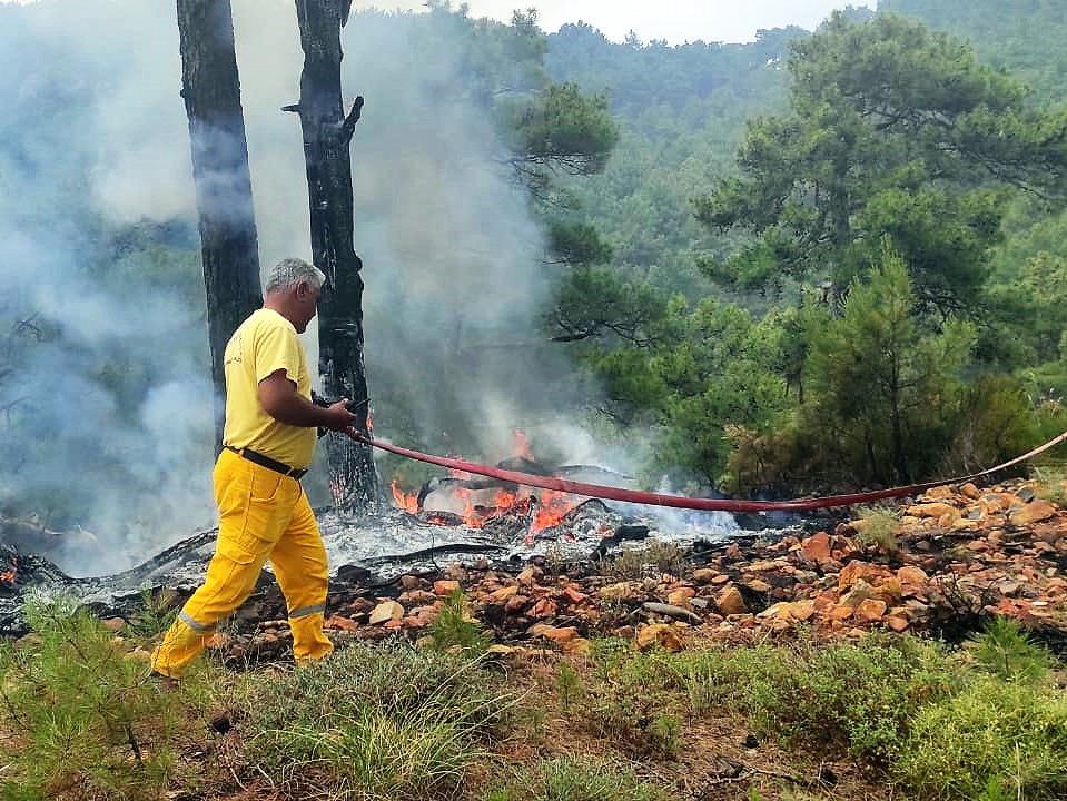 Muğla'da 12 günde 48 orman yangını çıktı