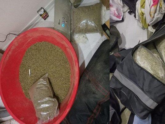 55 kilo bonzai ele geçirildi, polis her yerde 'Çaki'yi arıyor