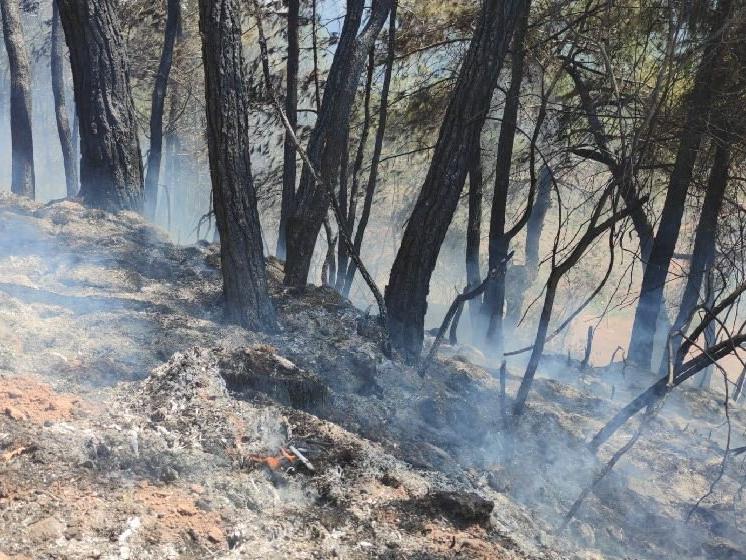 Orman yangınları sürüyor; yerleşim yerleri tahliye edildi