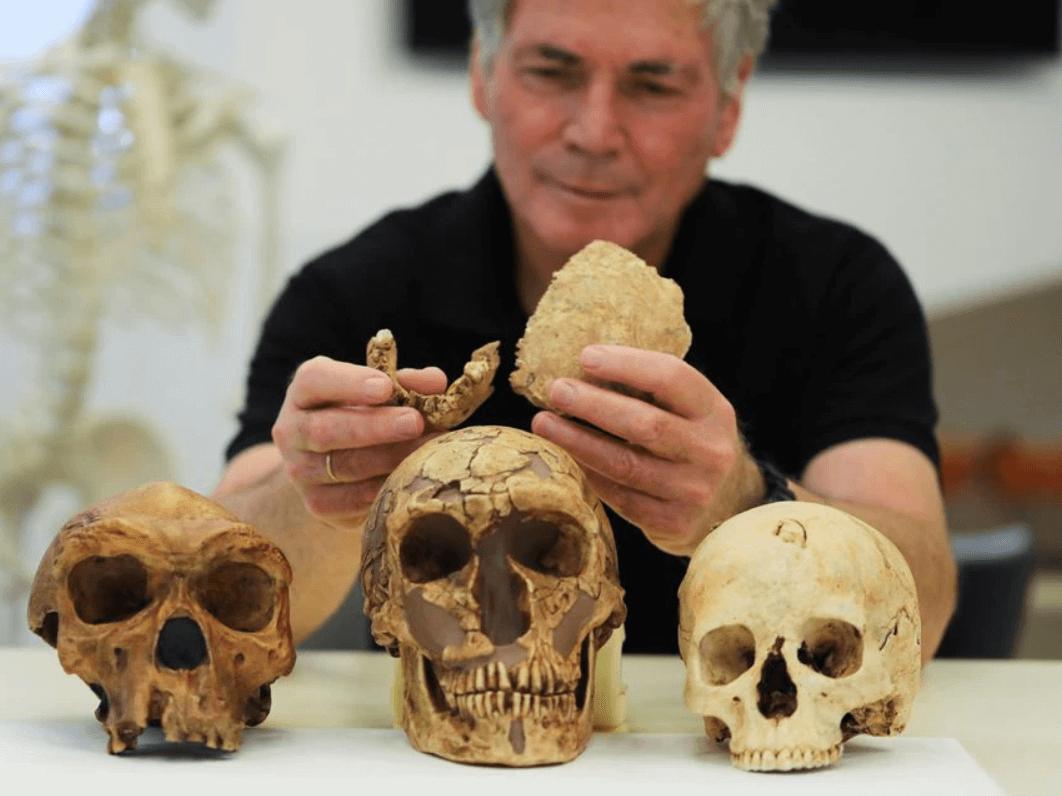 130 bin yıllık farklı bir insan türüne ait fosiller bulundu