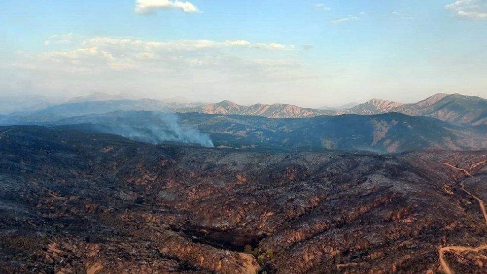 Bingöl'deki orman yangını 4 gün sonra kontrol altında