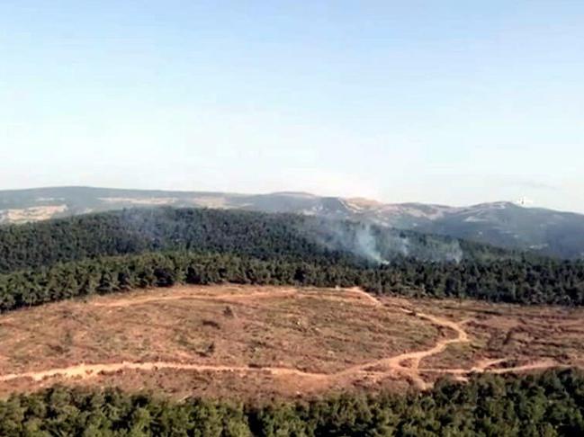 İzmir Bergama'da orman yangını