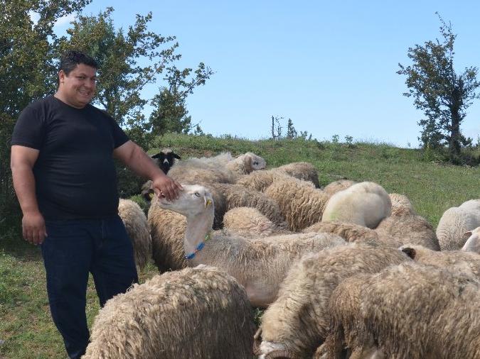 7 bin lira maaşı bıraktı, köyünde çobanlığa başladı