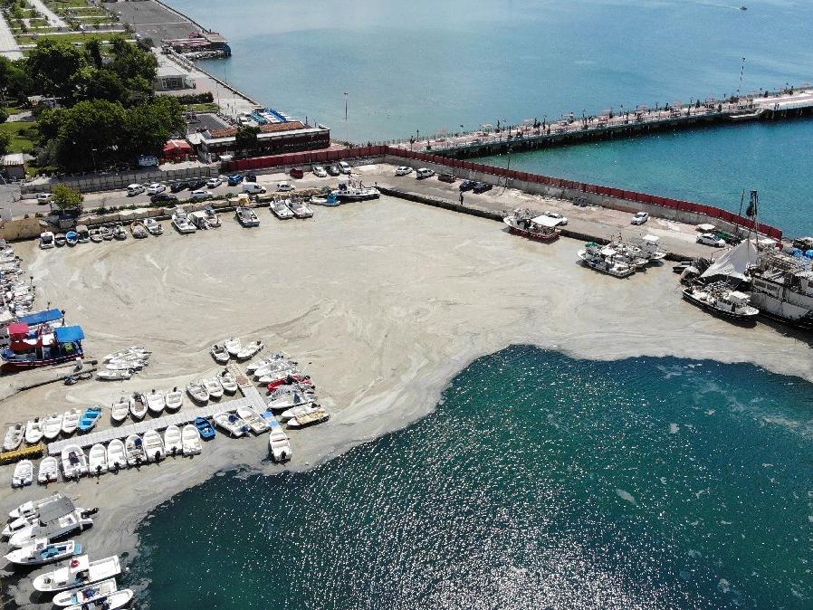Bakan Kurum: Marmara Denizi'nde 10 bin 434 metreküp müsilajı temizledik