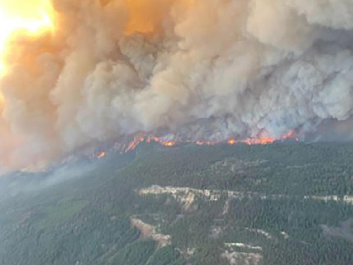 Kanada'da ısı kubbesi etkisi... 177 orman yangını sürüyor