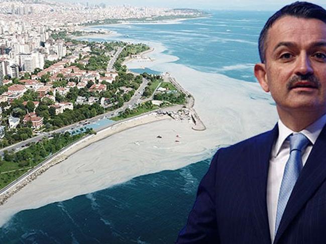 'Marmara Denizi'nden çıkan balık yenir mi?' sorusuna Bakan Pakdemirli'den yanıt