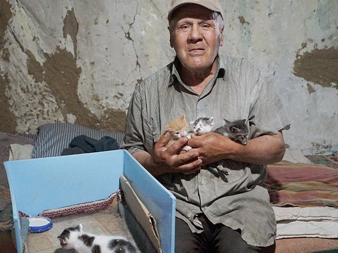 Barakada yaşıyor, bir lokma ekmeğini 36 kedi ile paylaşıyor