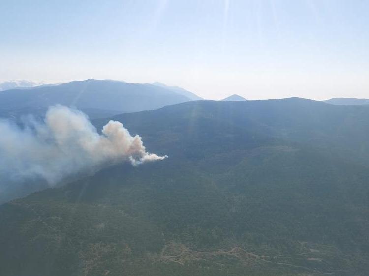 Hatay'da örtü yangınında 3 hektar alan zarar gördü