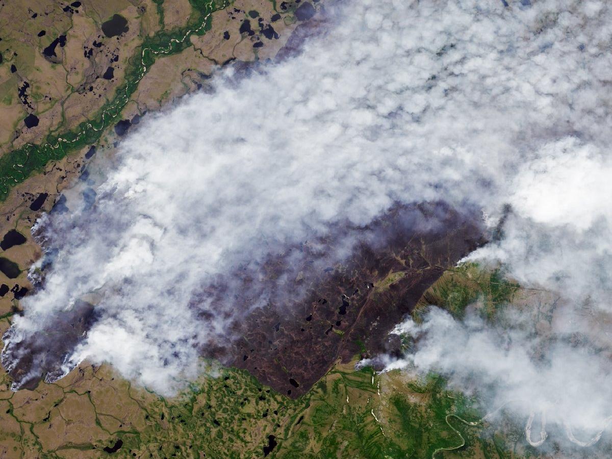 Rusya'da orman yangınları büyüyor: 8 bin personel müdahale ediyor