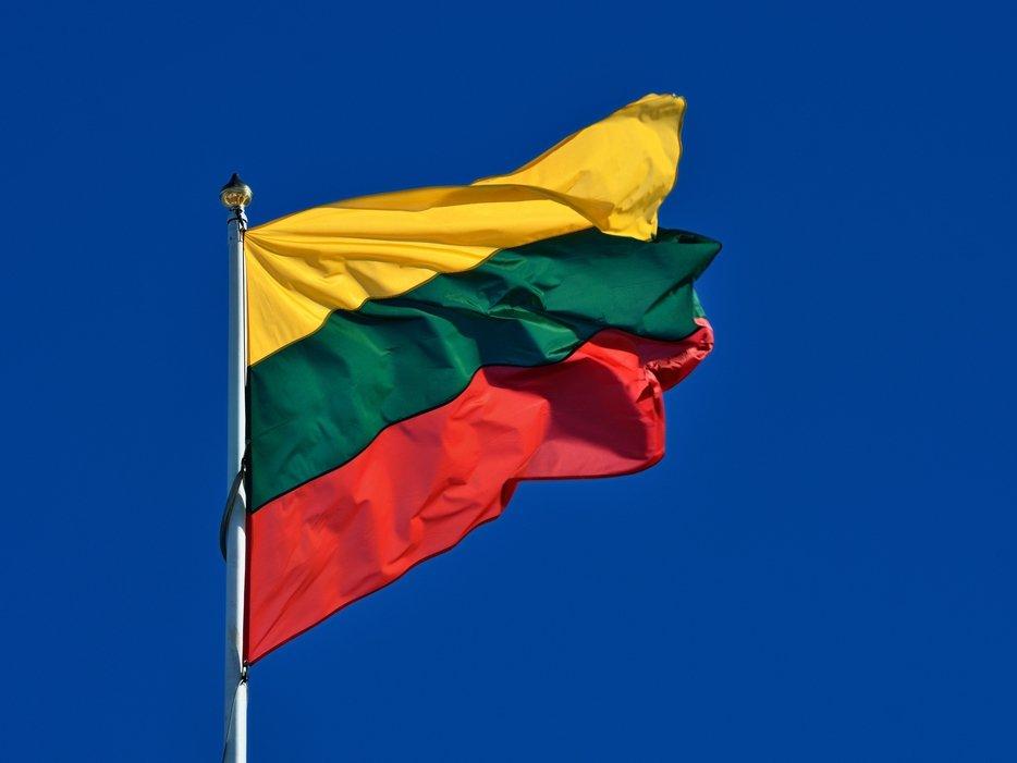 Litvanya'dan sığınmacı kararı: Toplu gözaltına onay