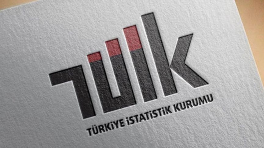 TÜİK'ten 'göç istatistikleri' için erteleme duyurusu