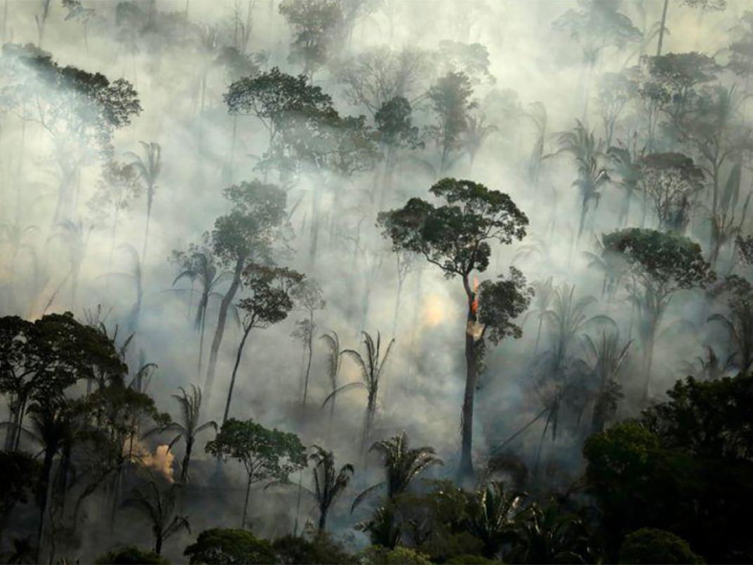 Amazon ormanları alarm veriyor: Saldığı karbondioksit 3 kat fazla