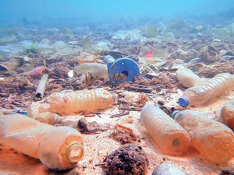 2050 yılında balıktan çok plastik olacak