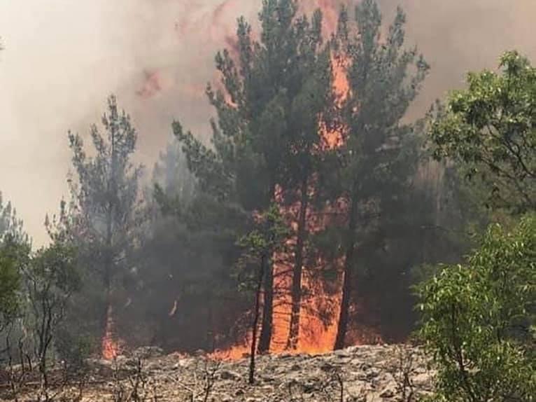 Mersin'deki orman yangını ikinci gününde de devam ediyor