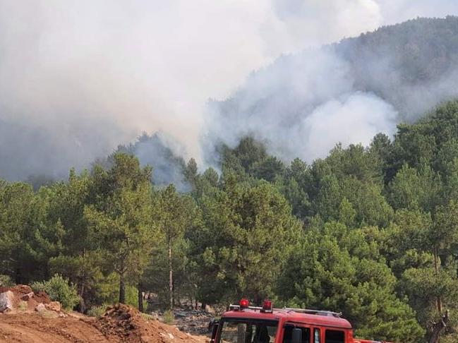 Hassa'daki yangın büyük oranda kontrol altına alındı