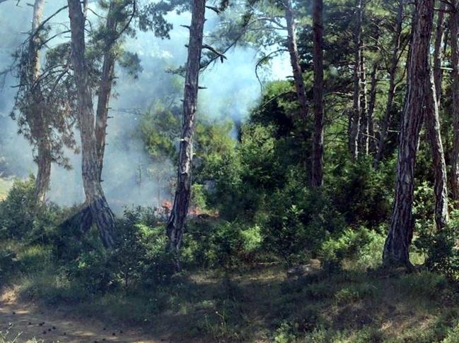 Malkara'daki orman yangınında sabotaj şüphesi