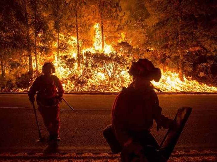 Cinsiyet açıklama partisinde orman yaktılar! Hapis cezasıyla karşı karşıyalar