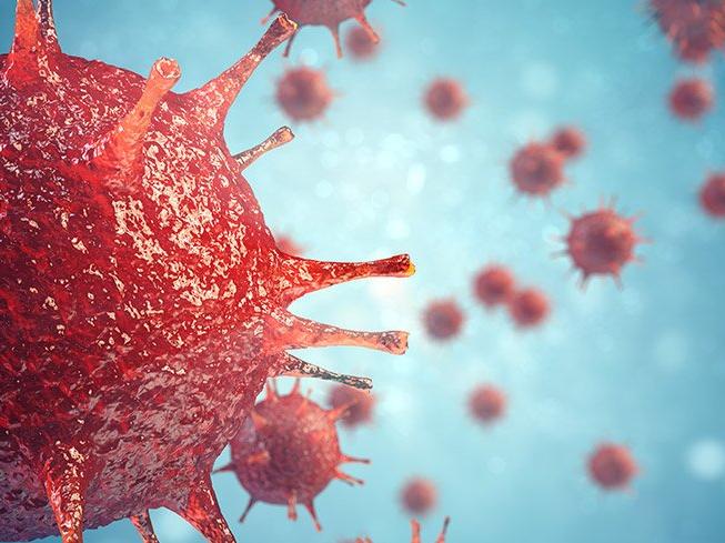 Bilim insanları duyurdu: Hiç bilinmeyen 28 farklı virüs tespit edildi - Sözcü Gazetesi