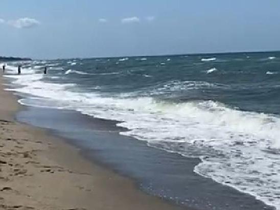 Mudanya'nın sahillerinde denize girme yasağı 1 gün daha uzatıldı