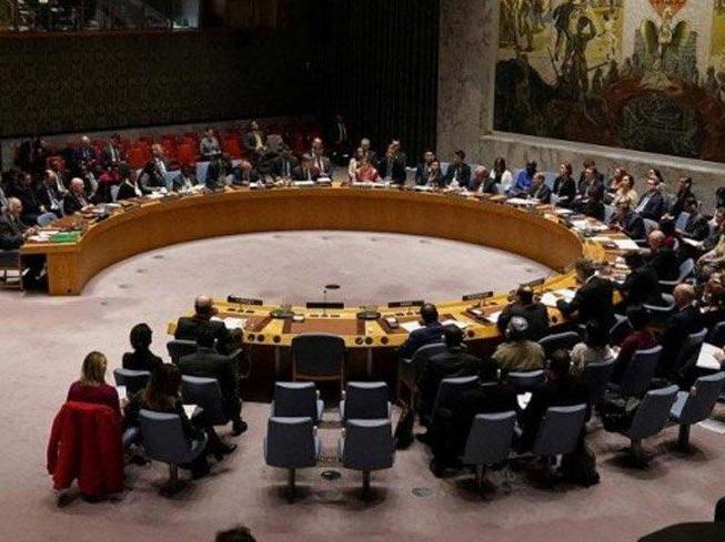 BM Güvenlik Konseyi'nden Türkiye'ye kınama mesajı