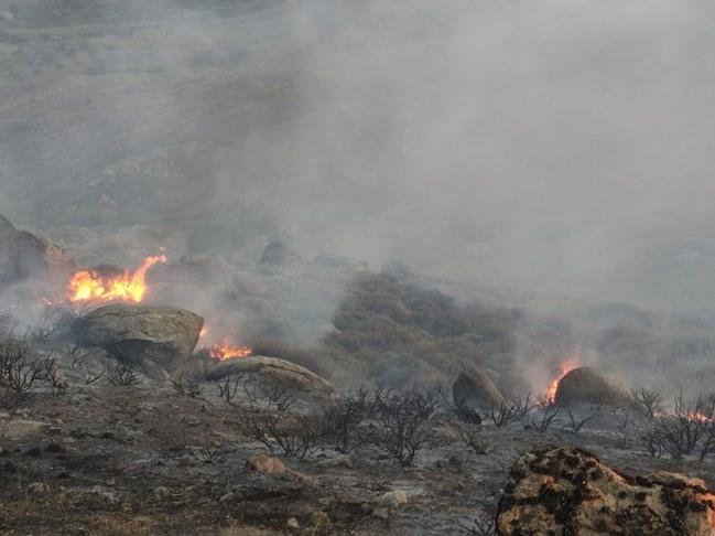 Avşa Adası'nda orman yangını