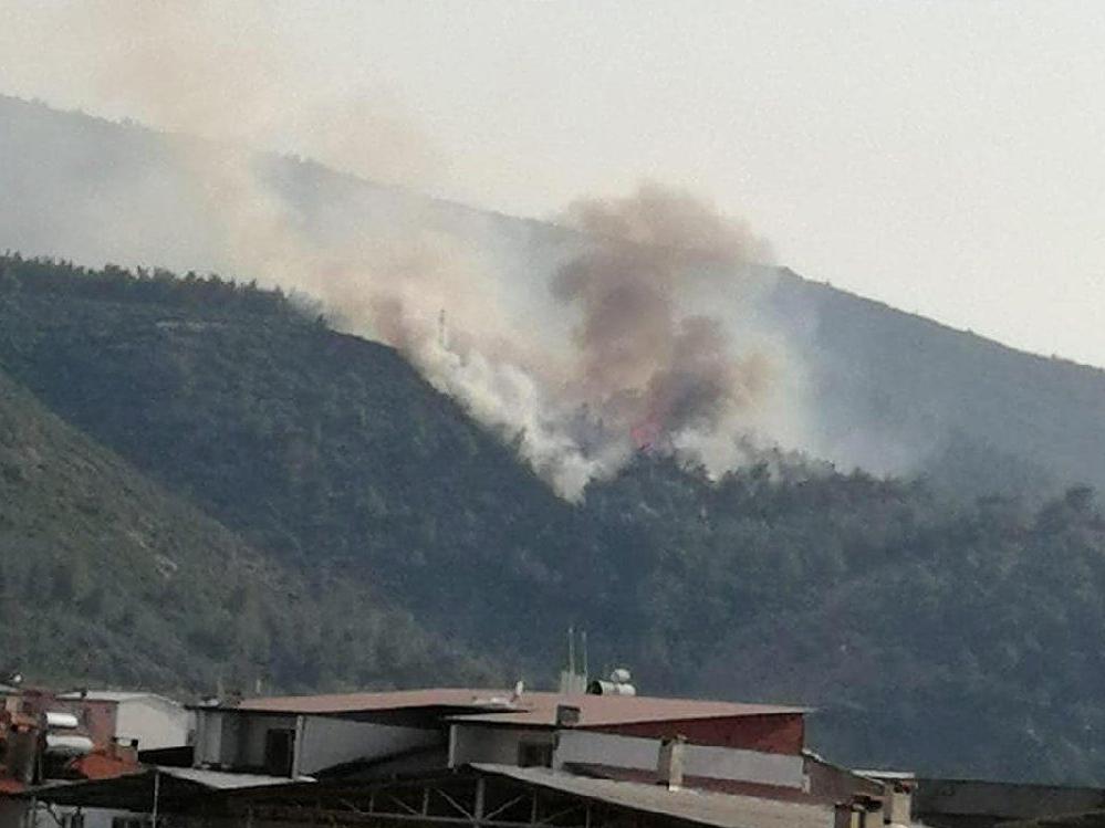 Soma'da orman yangını
