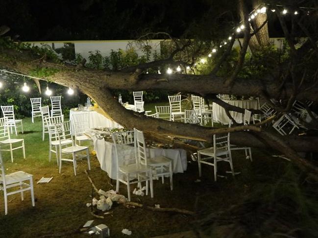 Kır düğününde ağaç devrildi: 1 ölü, 9 yaralı