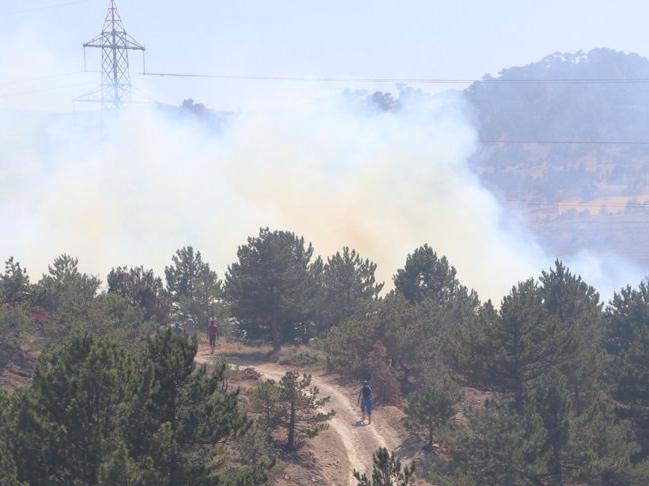 Karaman'da çıkan yangında 5 hektar alan zarar gördü