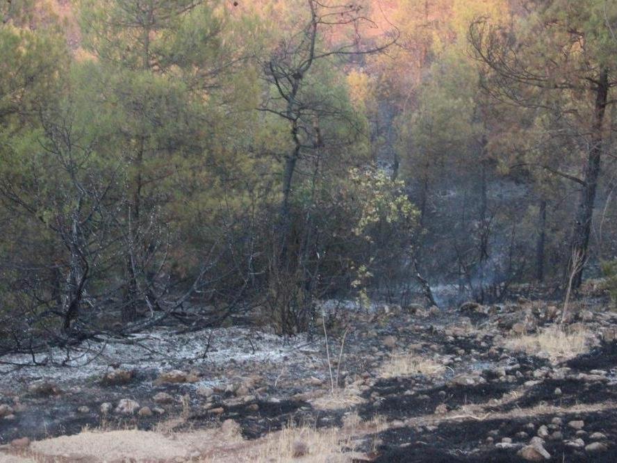 Dumanlı hava kentte orman yangını paniği yaşattı